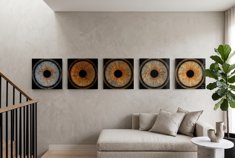 Five eyes, in the lounge